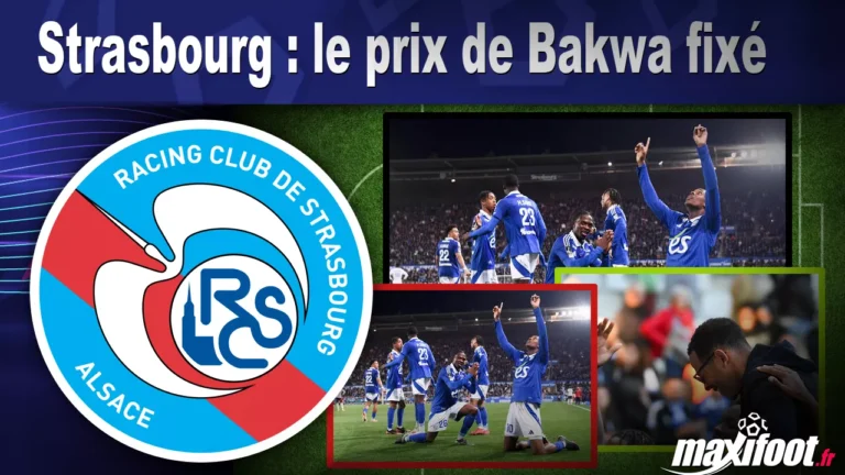 431574.webp