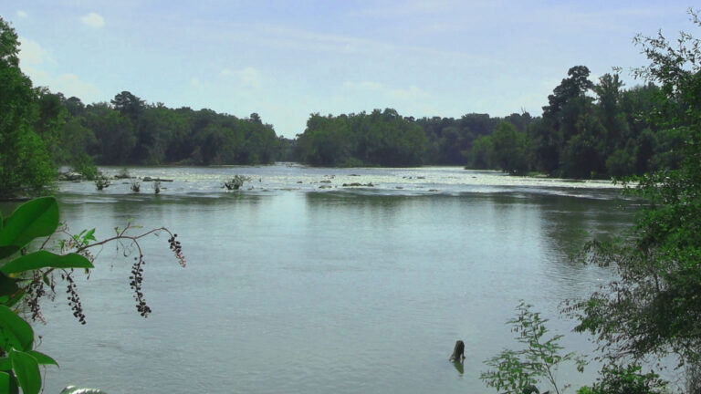 River Alliance Thumbnail