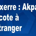 432242.webp