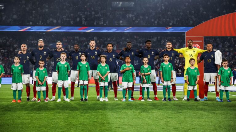 Les-joueurs-de-l-equipe-de-France-au-Parc-des-Princes-lors-du-match-contre-l-Irlande-2-0-qualifs-Eur.jpeg