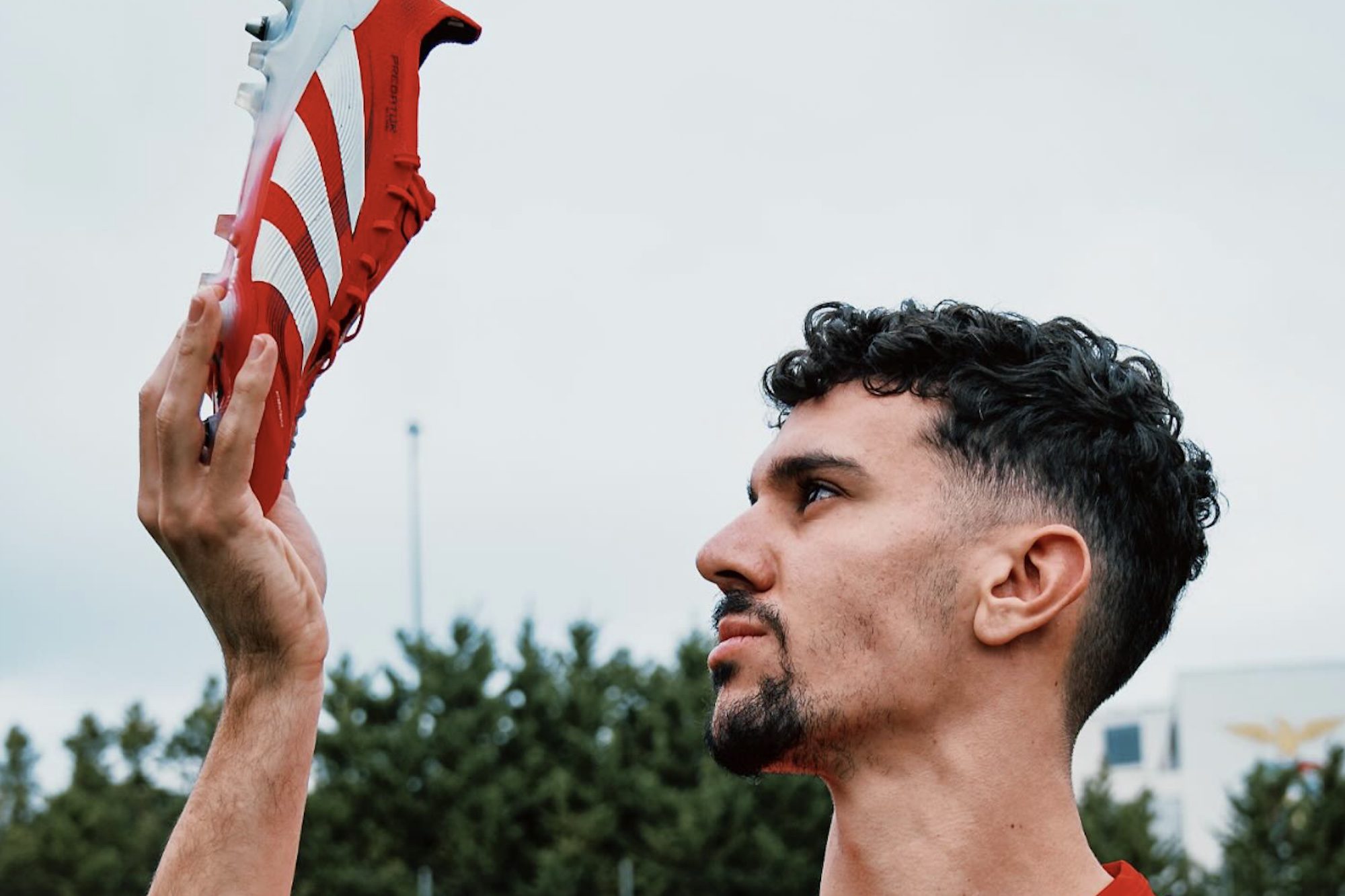 Tomas-Araujo.jpg