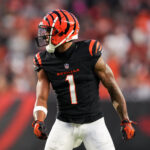 Denver Broncos v Cincinnati Bengals