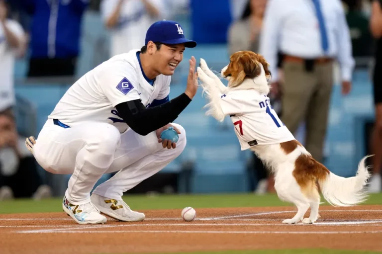 los-angeles-dodgers-shohei-ohtani-928271700