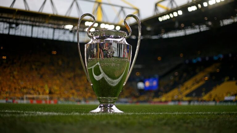 Le-trophee-de-la-Ligue-des-champions-pose-sur-la-pelouse-du-Borussia-Dortmund-le-1er-mai-2024-202344.jpeg